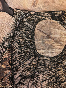 Amélie et Aude - "bois"