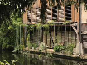 Le rideau de bambous