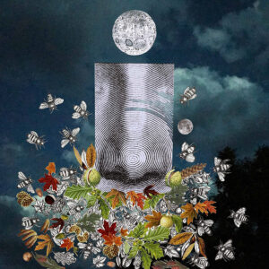 Les 5 sens : l'odorat