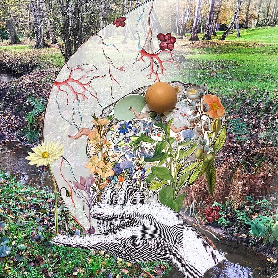 Les 5 sens : le toucher