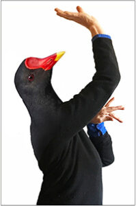 Margot la poule d'eau